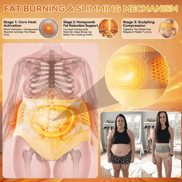 🛡️2026 Moringa &amp; Berberine 4-in-1 Micro-Particle Shaping &amp; Fat Burning Shorts