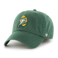GREEN BAY PACKERS HISTORIC CLASSIC '  FRANCHISE