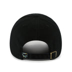 PHILADELPHIA EAGLES HISTORIC   CLEAN UP