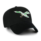 PHILADELPHIA EAGLES HISTORIC   CLEAN UP