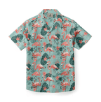 Flamingo Paradise