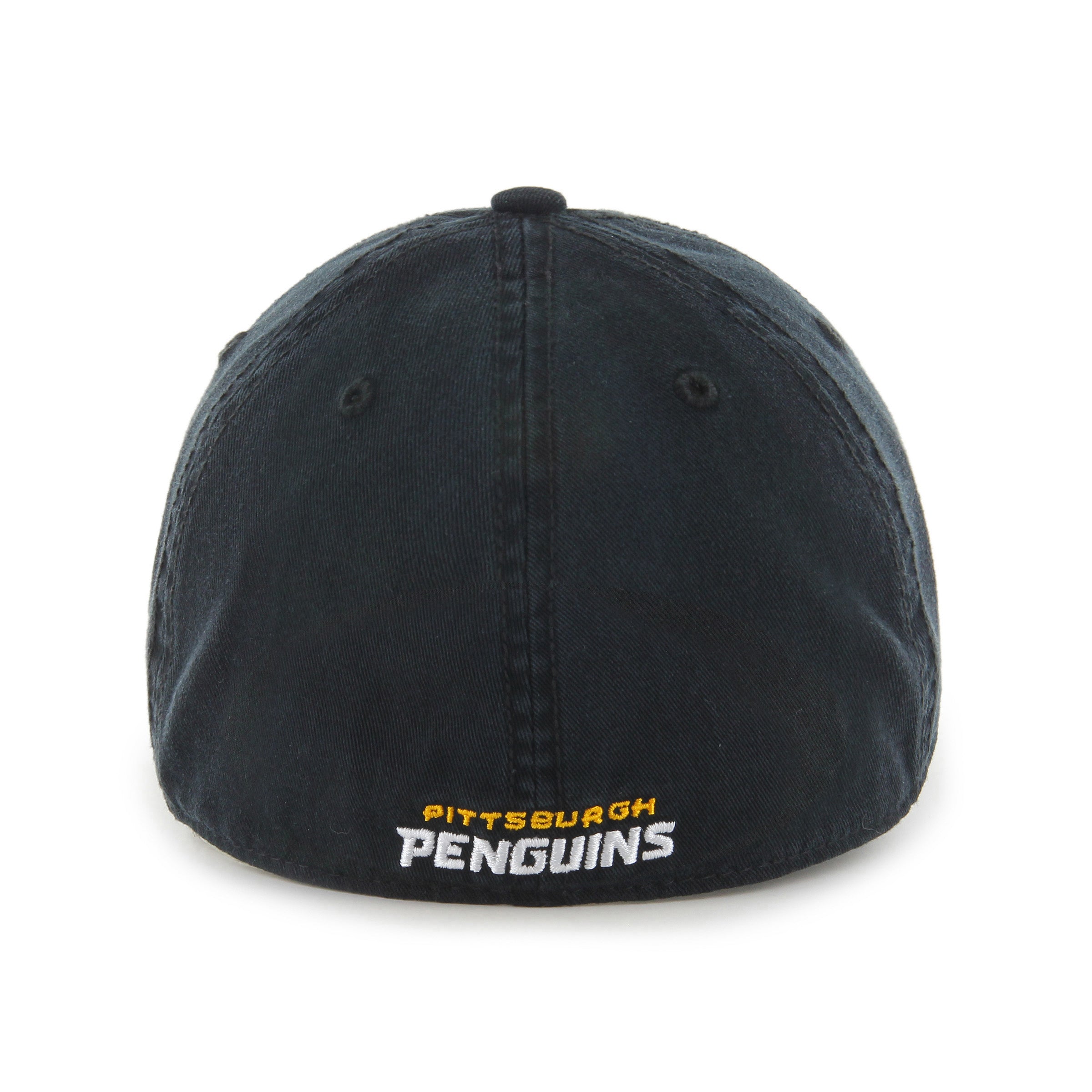 PITTSBURGH PENGUINS CLASSIC '  FRANCHISE
