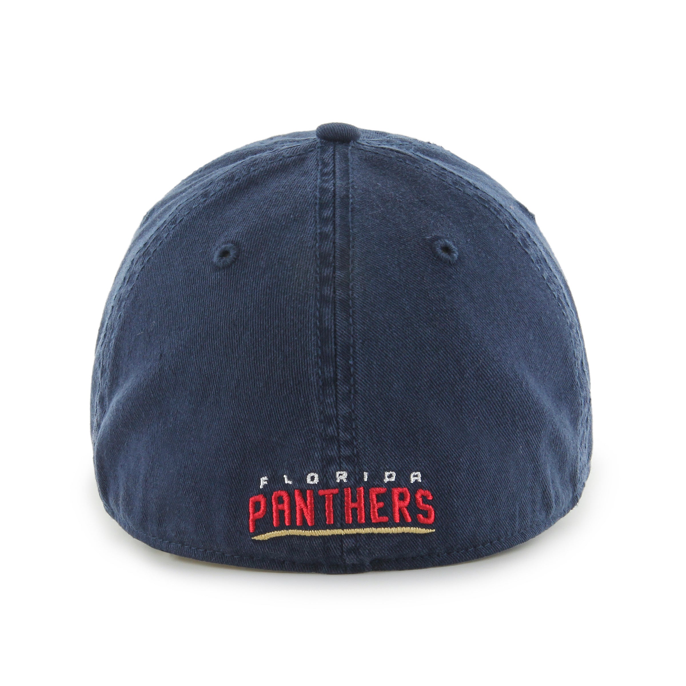 FLORIDA PANTHERS CLASSIC '  FRANCHISE