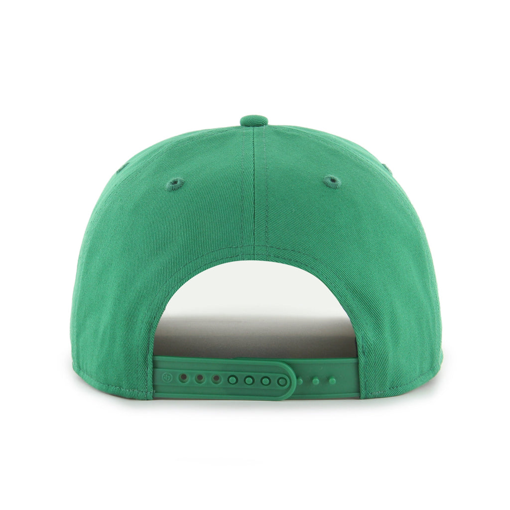 DALLAS STARS '  HITCH