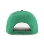 DALLAS STARS '  HITCH