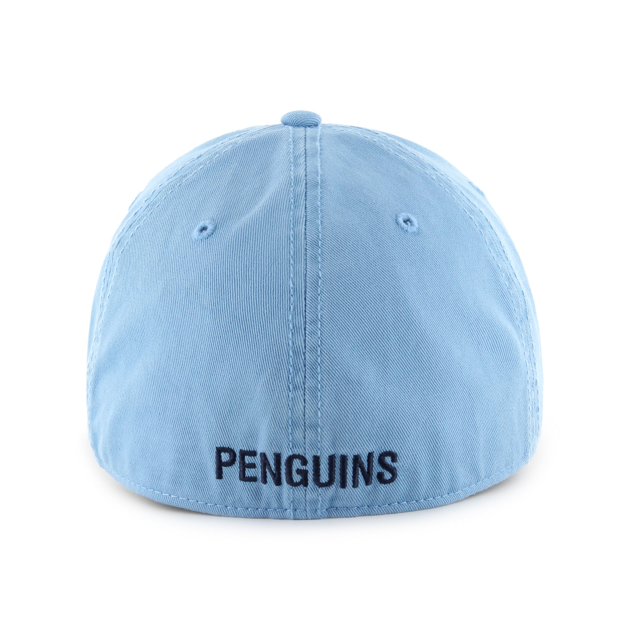 PITTSBURGH PENGUINS VINTAGE CLASSIC '  FRANCHISE
