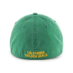 CALIFORNIA GOLDEN SEALS VINTAGE CLASSIC '  FRANCHISE
