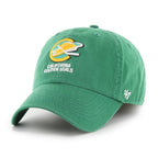 CALIFORNIA GOLDEN SEALS VINTAGE CLASSIC '  FRANCHISE