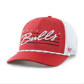 CHICAGO BULLS DOWNBURST '  TRUCKER