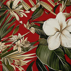 Tropical Breeze