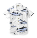 Coral Reef Explorer